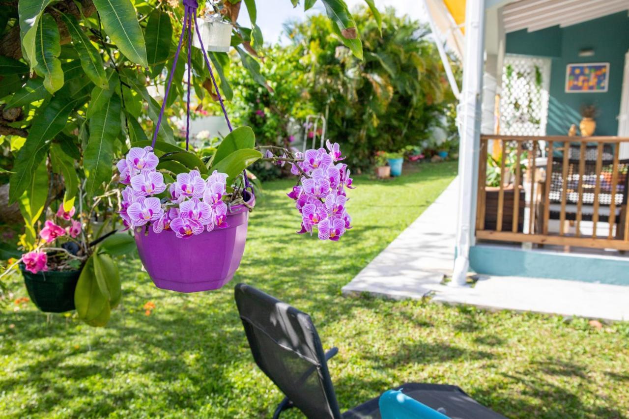 Villa L'Artist en bord de mer avec piscine privée Sainte-Rose Extérieur photo